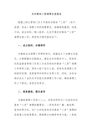 农村集体三资清理自查报告