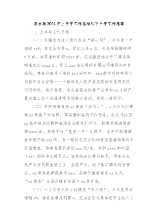 农水局2024年上半年工作总结和下半年工作思路