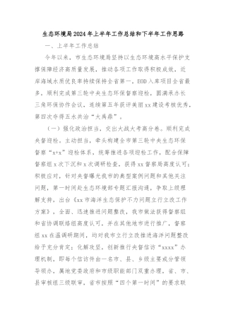 生态环境局2024年上半年工作总结和下半年工作思路