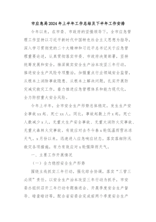 市应急局2024年上半年工作总结及下半年工作安排