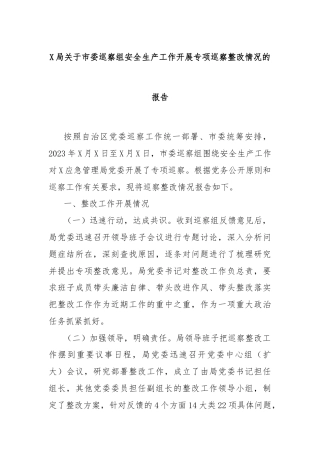 X局关于市委巡察组安全生产工作开展专项巡察整改情况的报告