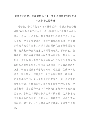 党组书记在学习贯彻党的二十届三中全会精神暨2024年年中工作会议的讲话