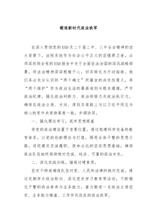 锻造新时代政法铁军