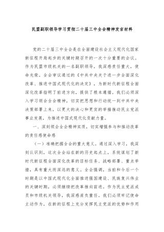 民盟副职领导学习贯彻二十届三中全会精神发言材料