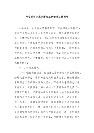 市委巡察办意识形态工作情况总结报告