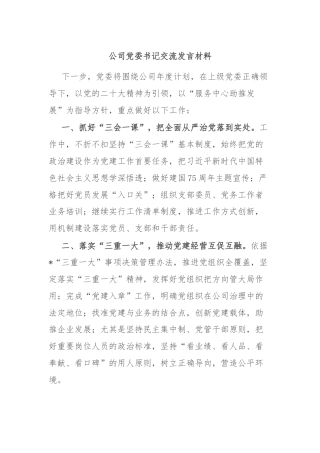 公司党委书记交流发言材料