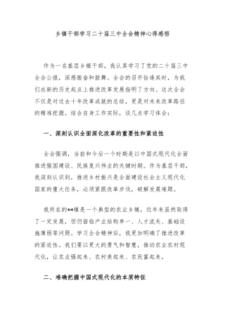 乡镇干部学习二十届三中全会精神心得感悟