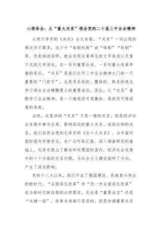 心得体会：从“重大关系”领会党的二十届三中全会精神