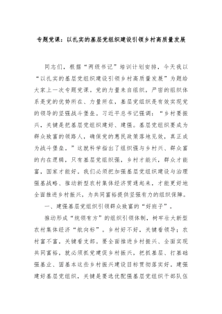 专题党课：以扎实的基层党组织建设引领乡村高质量发展