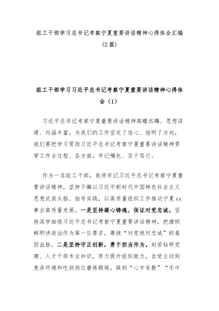 (2篇)组工干部学习总书记考察宁夏重要讲话精神心得体会汇编