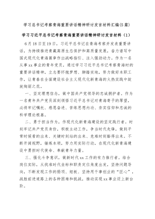 (5篇)学习总书记考察青海重要讲话精神研讨发言材料汇编