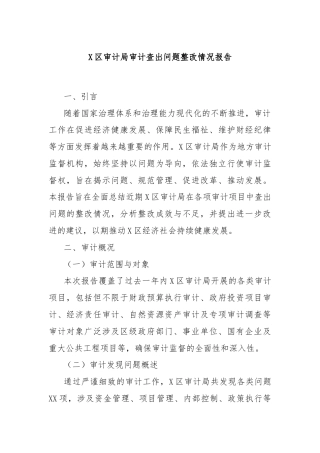 X区审计局审计查出问题整改情况报告