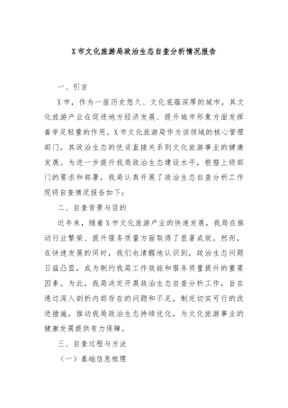 X市文化旅游局政治生态自查分析情况报告