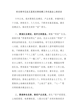 村支部书记在五星党支部创建工作交流会上的发言
