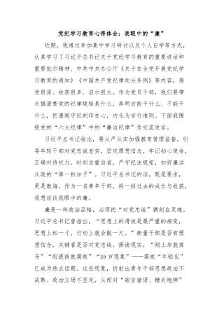 党纪学习教育心得体会：我眼中的“廉”