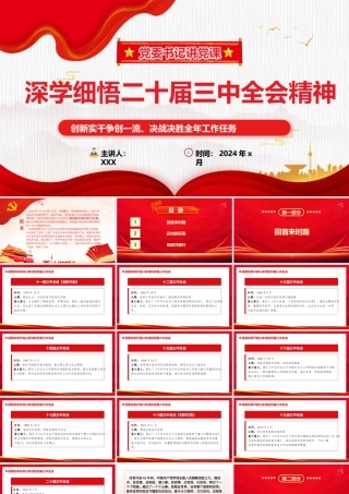 深入学习贯彻党的二十届三中全会精神党委书记讲党课ppt