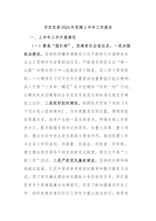 市发改委2024年党建上半年工作报告