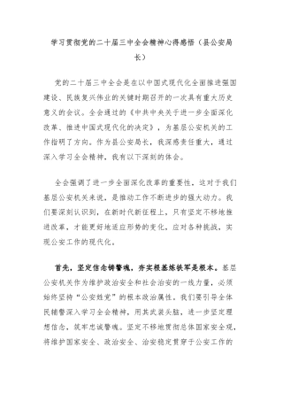 学习贯彻党的二十届三中全会精神心得感悟（县公安局长）