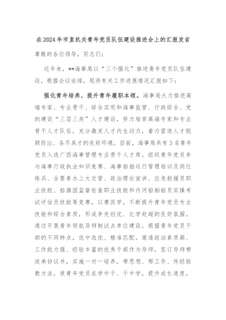 在2024年市直机关青年党员队伍建设推进会上的汇报发言