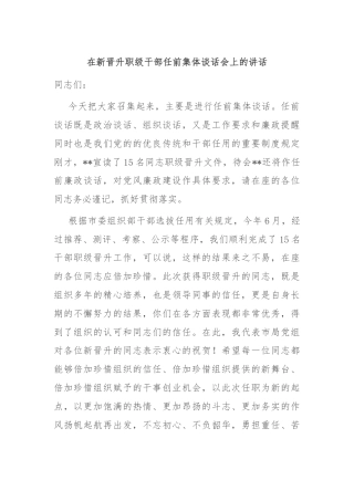 在新晋升职级干部任前集体谈话会上的讲话