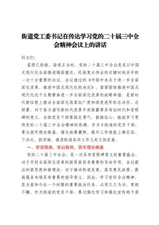 街道党工委书记在传达学习党的二十届三中全会精神会议上的讲话