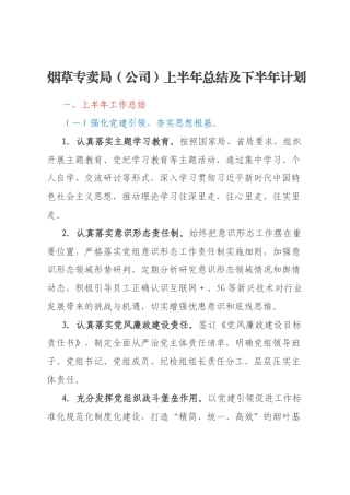 烟草专卖局（公司）上半年总结及下半年计划