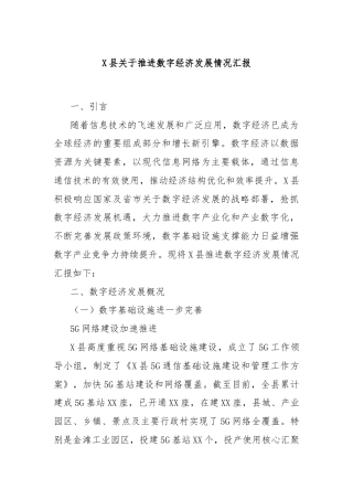 X县关于推进数字经济发展情况汇报