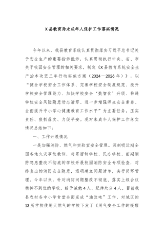 X县教育局未成年人保护工作落实情况
