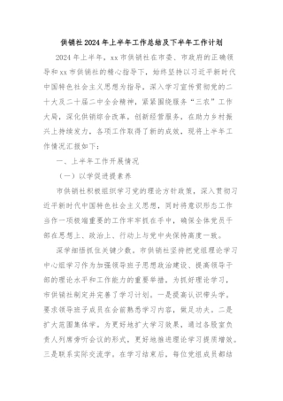 供销社2024年上半年工作总结及下半年工作计划