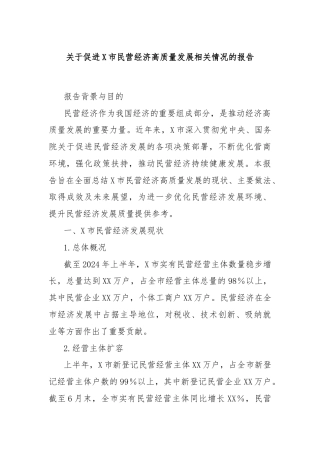 关于促进X市民营经济高质量发展相关情况的报告