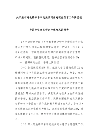 关于某市建设铸牢中华民族共同体意识先行市工作情况报告的审议意见研究处理情况的报告