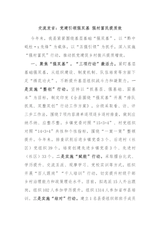 交流发言：党建引领强双基 强村富民提质效