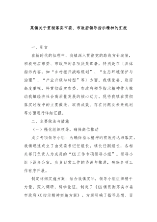 某镇关于贯彻落实市委、市政府领导指示精神的汇报