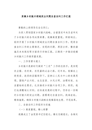 某镇乡村振兴领域突出问题自查自纠工作汇报