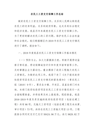 农民工工资支付保障工作总结
