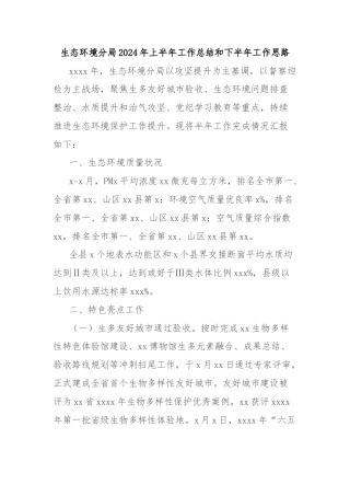 生态环境分局2024年上半年工作总结和下半年工作思路