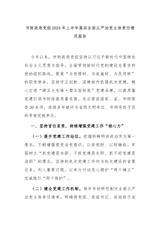 市财政局党组2024年上半年落实全面从严治党主体责任情况报告