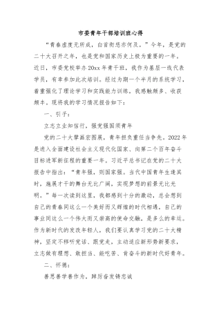 市委青年干部培训班心得