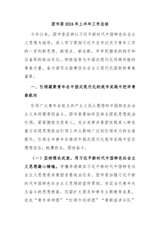 团市委2024年上半年工作总结