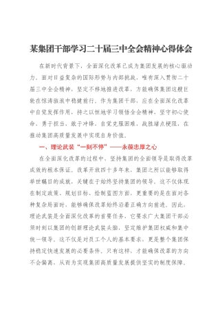 某集团干部学习二十届三中全会精神心得体会