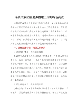 某镇民族团结进步创建工作的特色亮点