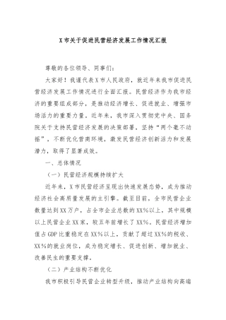 X市关于促进民营经济发展工作情况汇报