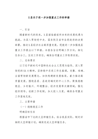 X县关于进一步加强重点工作的举措