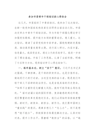 参加市委青年干部培训班心得体会