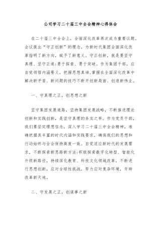 公司学习二十届三中全会精神心得体会