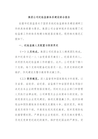 集团公司纪检监察体系建设综合报告