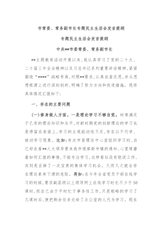 市常委、常务副市长专题民主生活会发言提纲
