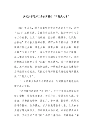 真抓实干写好X县农商银行“五篇大文章”