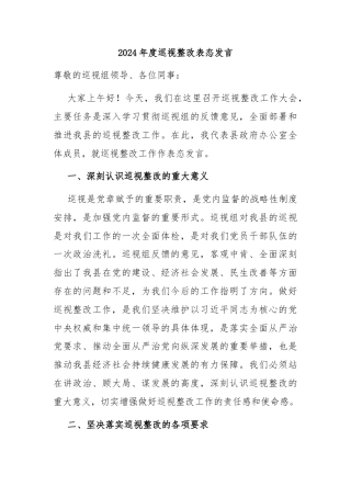 2024年度巡视整改表态发言