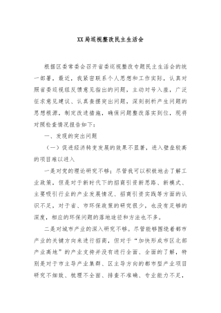 XX局巡视整改民主生活会